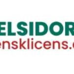 Spelsidor Utansvensklicens Profile Picture