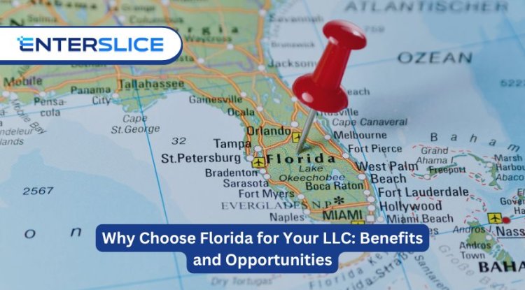 Why Choose Florida for Your LLC: Benefits and Opportunities - Bip Milwaukee