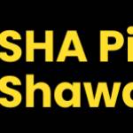 SHA Pizza  Shawarma Pizza Takeaways in Liverpool Profile Picture