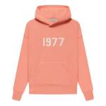 Pink Essentials Hoodie Profile Picture