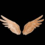 love and lee Profile Picture