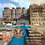 wedding palnner Profile Picture