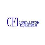 CAPITAL FUND INTERNATIONAL LIMITED Profile Picture