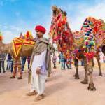 Rajasthan Tours to India Profile Picture