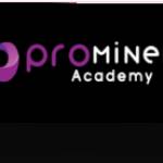 Prominent Academy Profile Picture