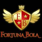 fortuna bola Profile Picture