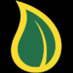 jones aiden Profile Picture