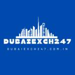 Dubaiexch 247 Profile Picture