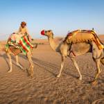 incredibleindia rajasthantours Profile Picture