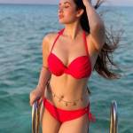 Jaipur Escort Profile Picture