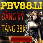 Nha Cai Pbv88 Profile Picture