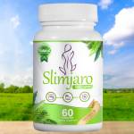 Polit pokj Profile Picture