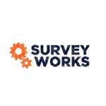 Survey Works Profile Picture