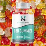 Foilak Sajiu Profile Picture