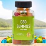 Pilot Katop Profile Picture