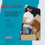 Sani Davil Profile Picture