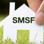 SF advisory Profile Picture