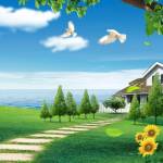 jtpeshrinkfilm jtpeshrinkfilm Profile Picture