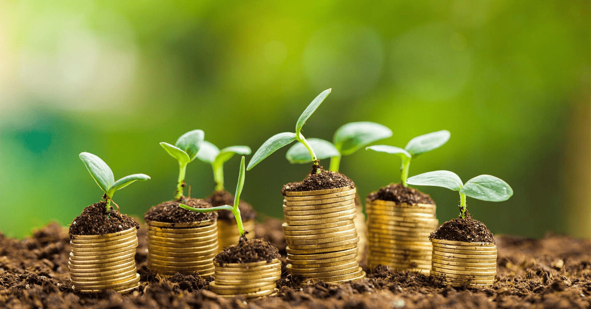 ISO 14001 certification in UAE | ISO 14001 certification