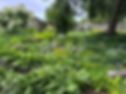 Experience Reiki Retreats Florence KY – Begin to Blossom