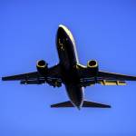 Sofia Romano Profile Picture