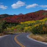 Pooja marie profile picture