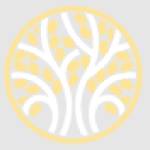 Arrati Vinay Tuteja profile picture