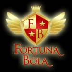 fortuna bola Profile Picture