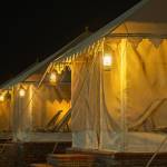 Desert Camps Bikaner Profile Picture