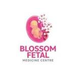Blossom Fetal Medicine Centre Profile Picture