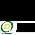 QiDi Plastic Mold Factory Profile Picture