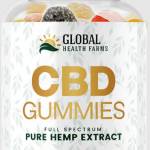 Dtiom Kqre Profile Picture