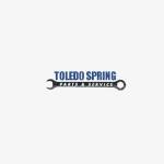 Toledo Spring Profile Picture