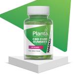 Jer Hijin Profile Picture