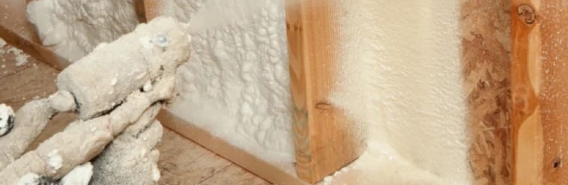 Des Moines Insulation Cover Image
