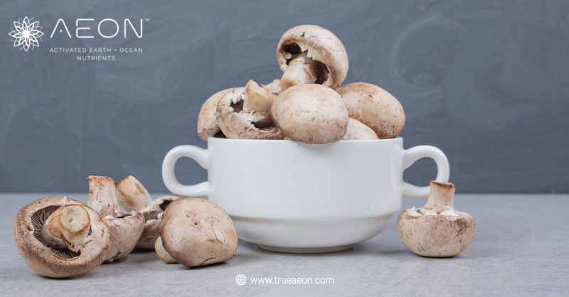 The Science-Backed Benefits of Greens Powder with Functional Mushrooms and Fulvic Acid : trueaeon — LiveJournal
