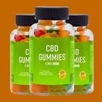 Foilk aoa Profile Picture