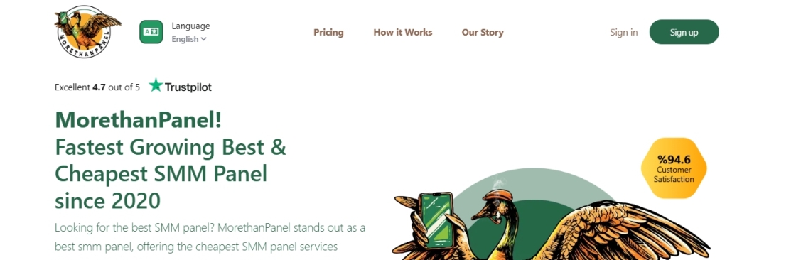 MoreThanPanel Official Cover Image