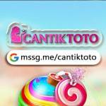 cantiktoto official Profile Picture