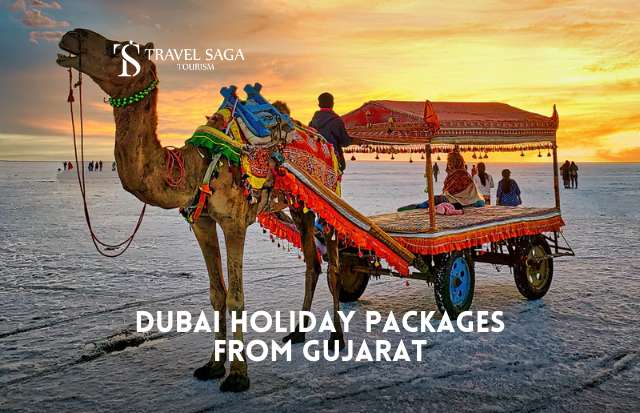 Dubai Holiday Packages from Gujarat | Book Now with Travel Saga Tourism