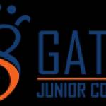Gatik Junior College profile picture
