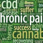 Doilk akk profile picture