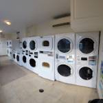 Abid Mirza profile picture