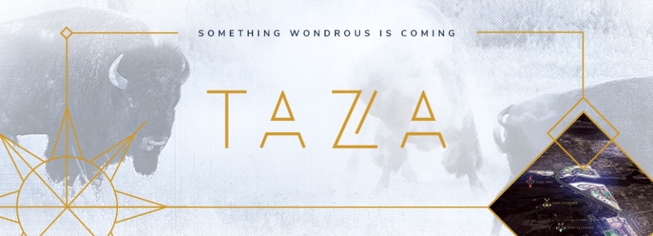 Taza Development Cover Image