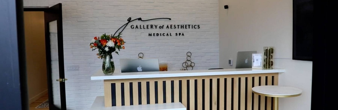 Gallery of Aesthetics Cover Image