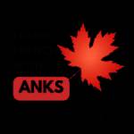 Learn French With Anks Profile Picture
