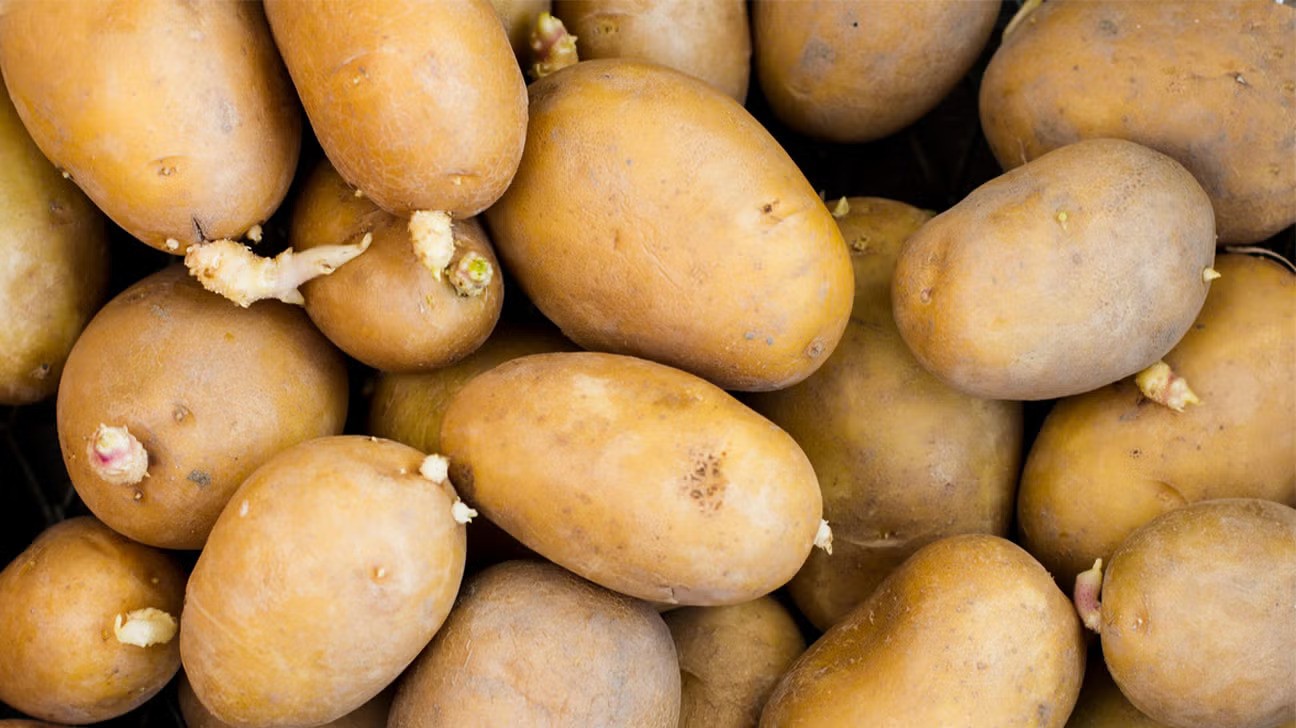 Are Potatoes Healthy or Harmful? Experts Reveal the Answer - Natural Health News