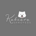 Kabeara Samoyeds Profile Picture