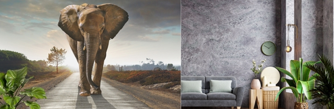 Feature Wall Cover Image