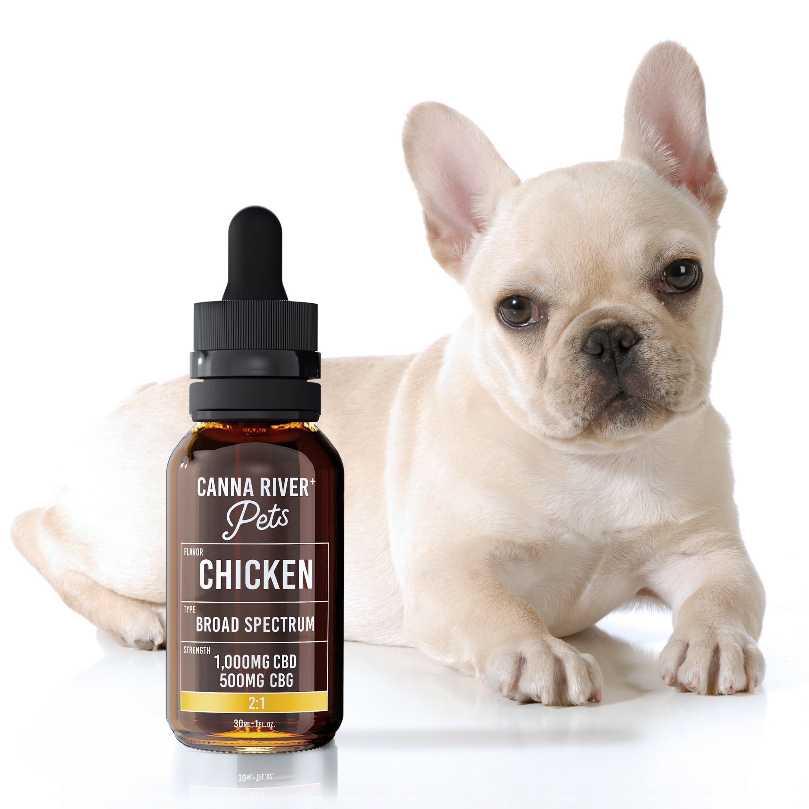Use Pet CBD To Keep Your Dog Calm During Fireworks – Canna River